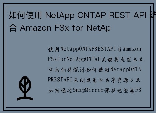如何使用 NetApp ONTAP REST API 结合 Amazon FSx for NetAp